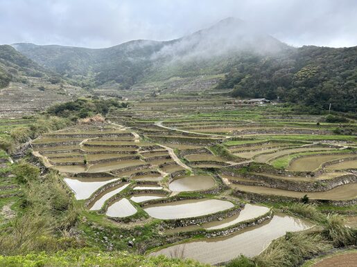 「平戸島の文化的景観」にある春日の棚田。海から山間まで続く棚田の景色が素晴らしいです。